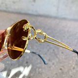 RELEN Double Bridge Aviator Sunglasses: Colorful Lenses, Leopard Temples