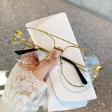 RELEN Double Bridge Aviator Sunglasses: Colorful Lenses, Leopard Temples