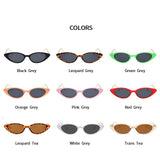 Chic Leopard Cat Eye Sunglasses - UV400 Designer Shades for Women