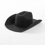 Daring Wool Wide Brim Fedora